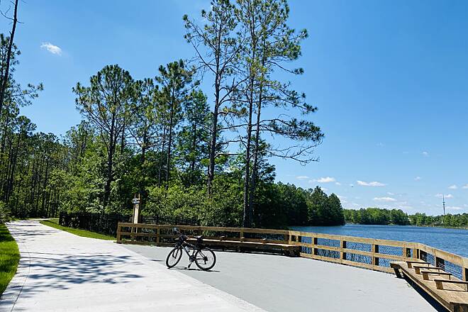 Go birdwatching along the Shingle Creek Trail