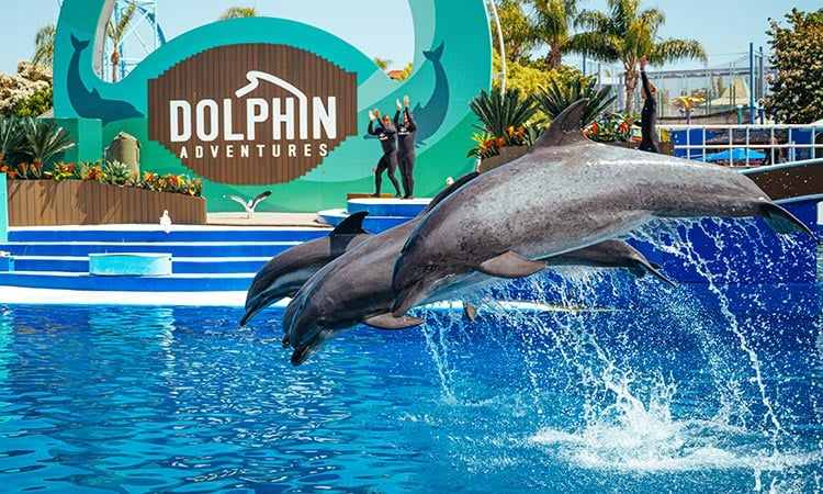 SeaWorld San Diego