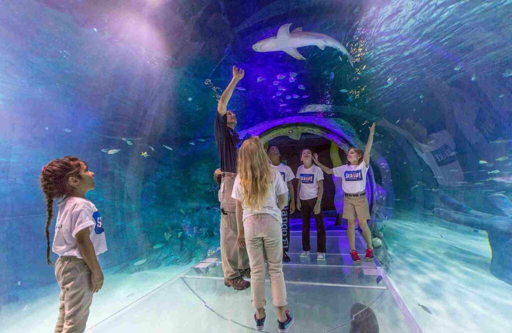 SEA LIFE Orlando Aquarium