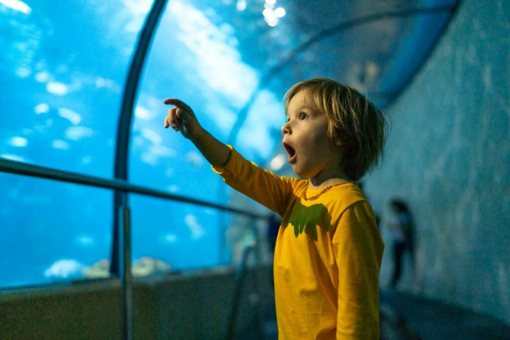 Aquariums In The USA