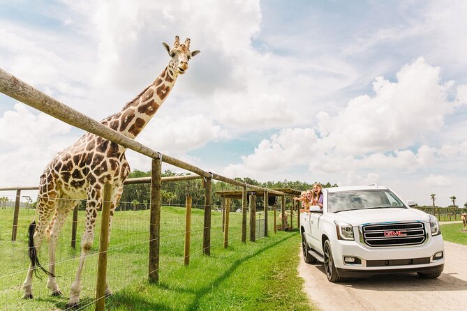 Participate in a Safari in the Style of Florida