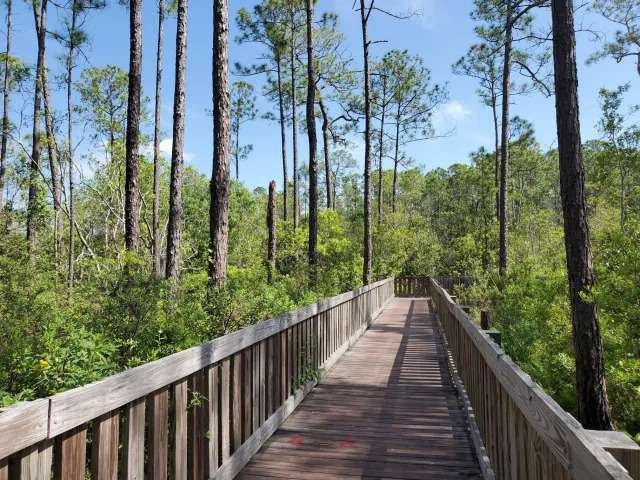 Take a stroll in the Tibet-Butler Wilderness Preserve
