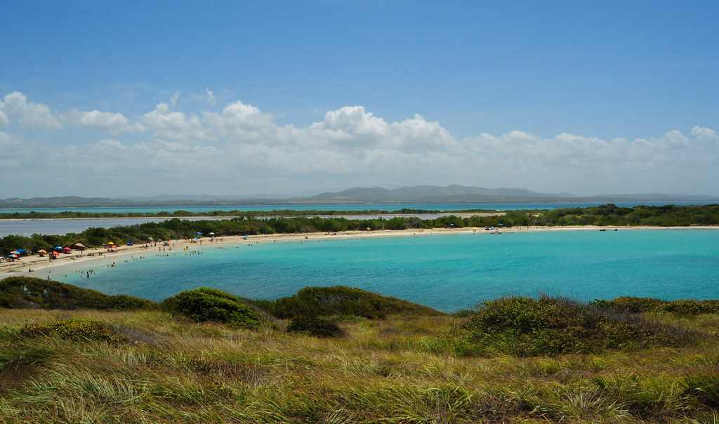Playuela Flamenco
