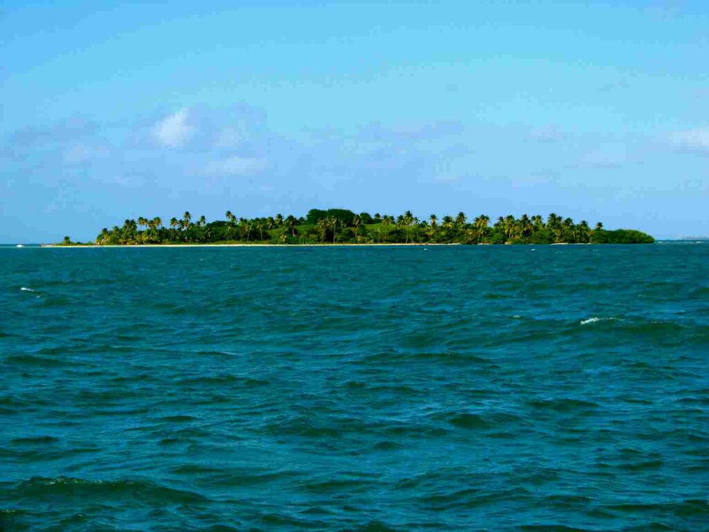 Icacos