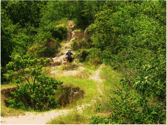 Hooper Road Park Trail
