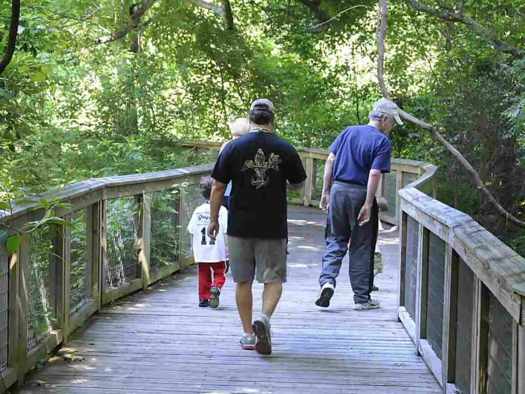 Bluebonnet Swamp Nature Center