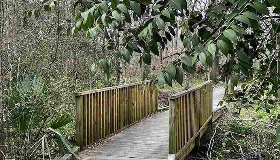 Black Swamp Trail