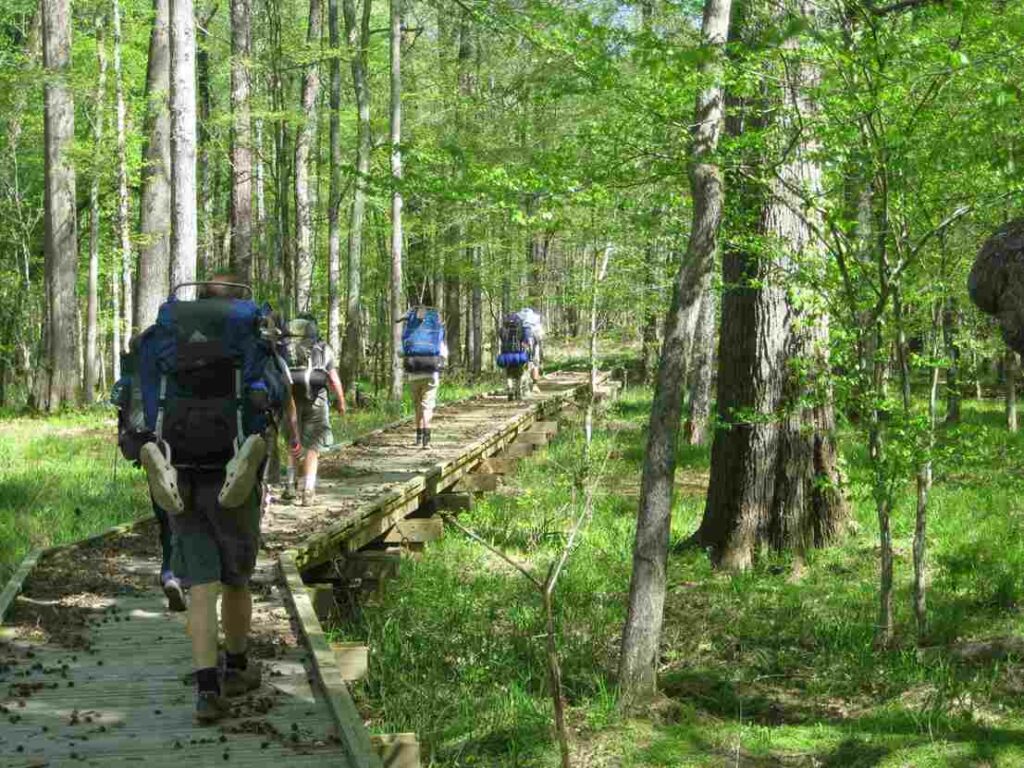 Palmetto trail
