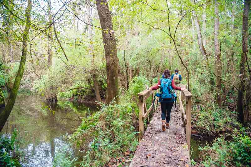 Hardwood Forest Loop Trail