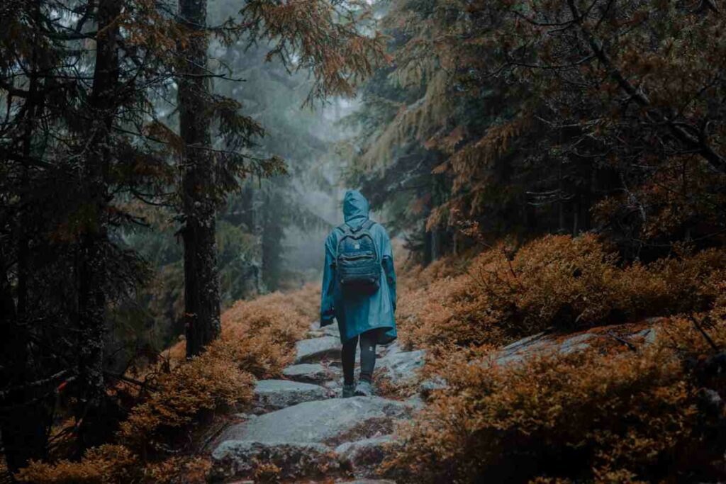 Hiking Trails and Parks in Baton Rouge