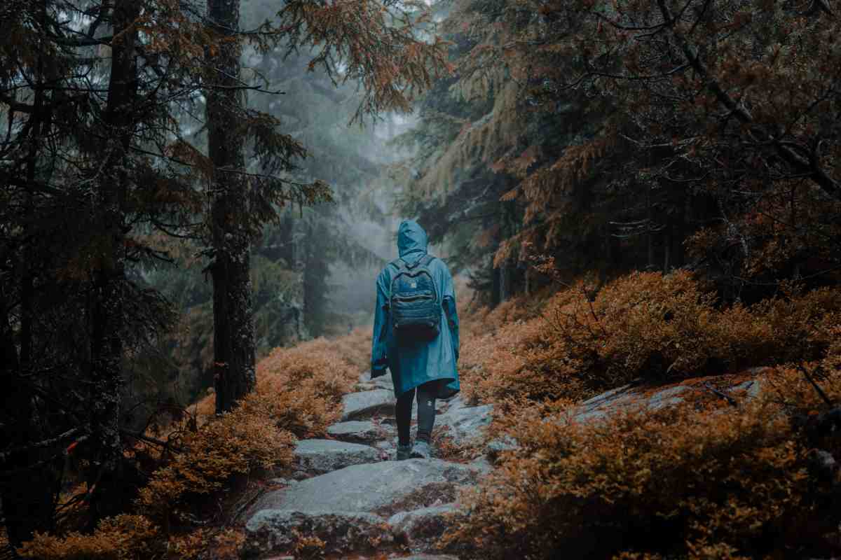 Hiking Trails and Parks in Baton Rouge