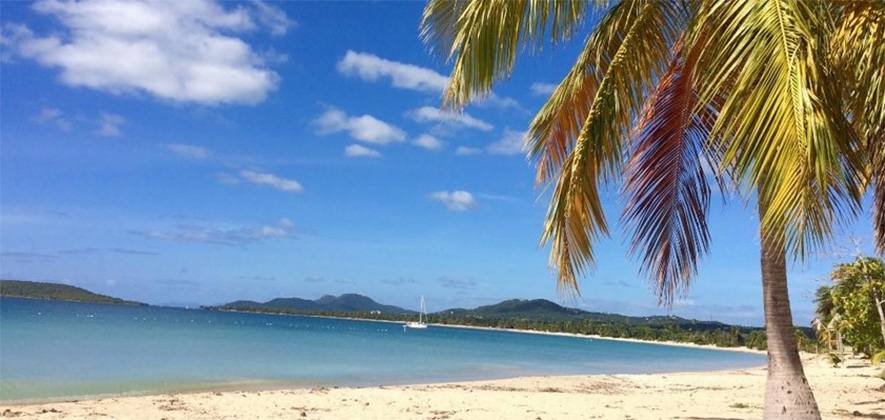 Sun Bay Beach